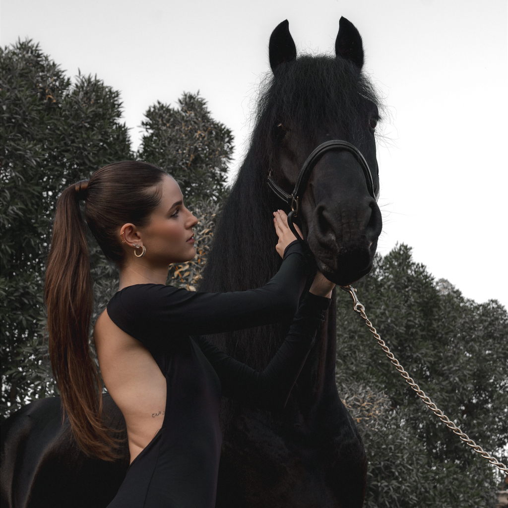 Black Stallion